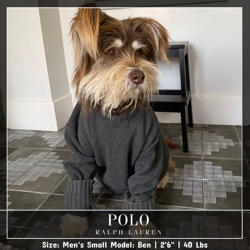 Polo by Ralph Lauren men’s sweater